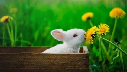 99贵宾会平台-斯诺克世界公开赛：吴宜泽5-1进四强将战奥沙利文